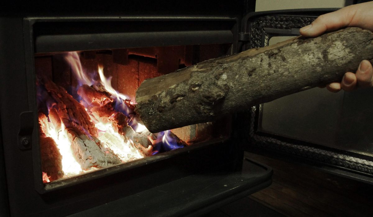 NextImg:Find out where your firewood comes from to prevent the spread of invasive pests