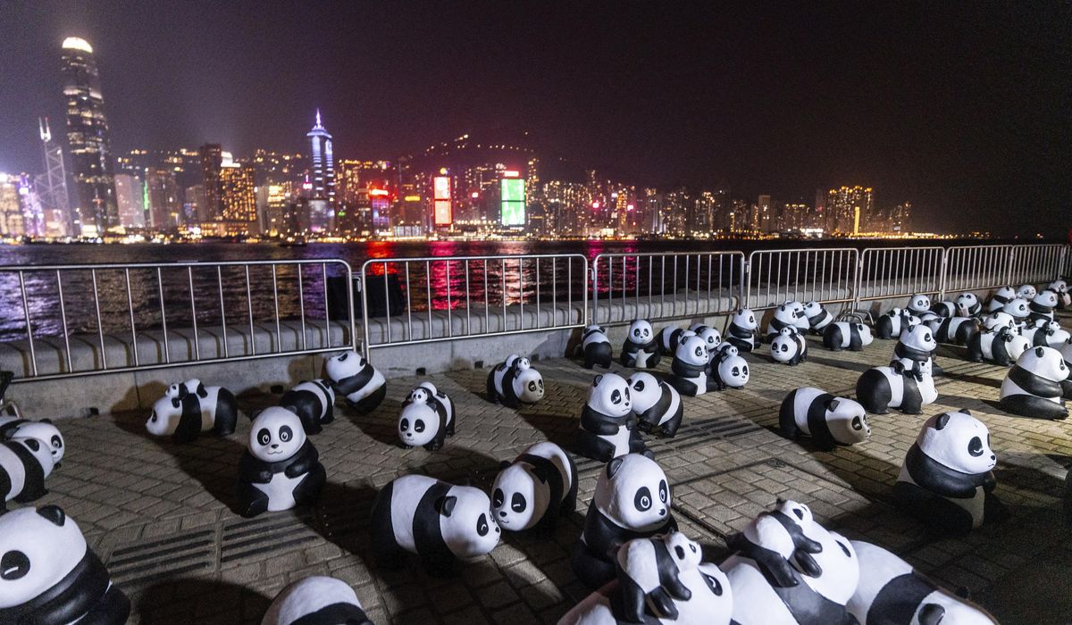 NextImg:People gathered in Hong Kong for the city’s first pyrotechnics drone show