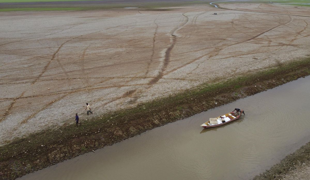 NextImg:Deforestation, drought and fires battered Amazon rainforest in 2024