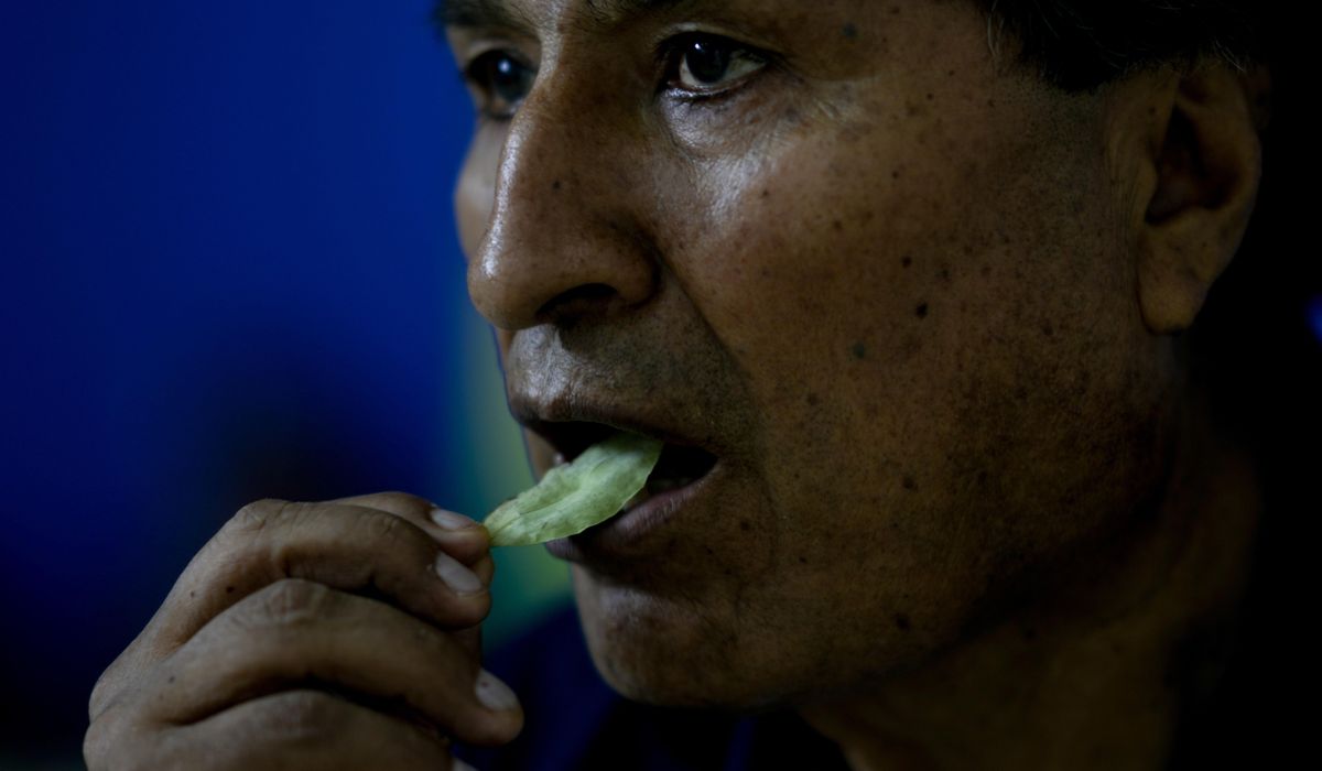 NextImg:Former Bolivian leader Evo Morales seeks a political comeback from his stronghold in the tropics