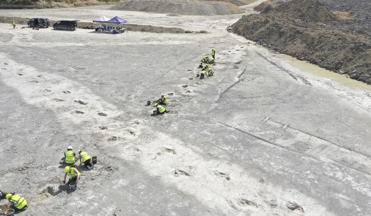 NextImg:‘Dinosaur highway’ tracks dating back 166 million years are discovered in England