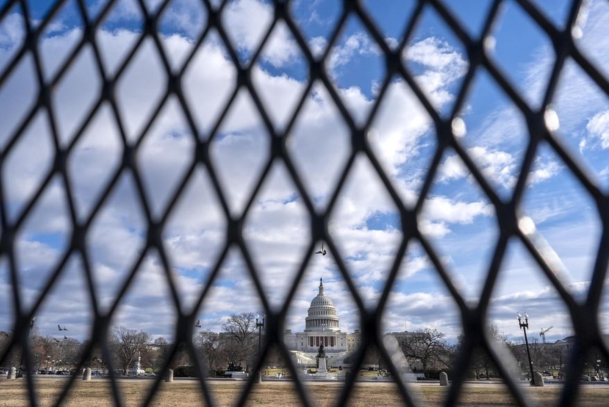 A bird flies framed by security fencing in front of the U.S. Capitol, which has been put up in a perimeter around the complex, Thursday, Jan. 2, 2025, in Washington. (AP Photo/Jacquelyn Martin)