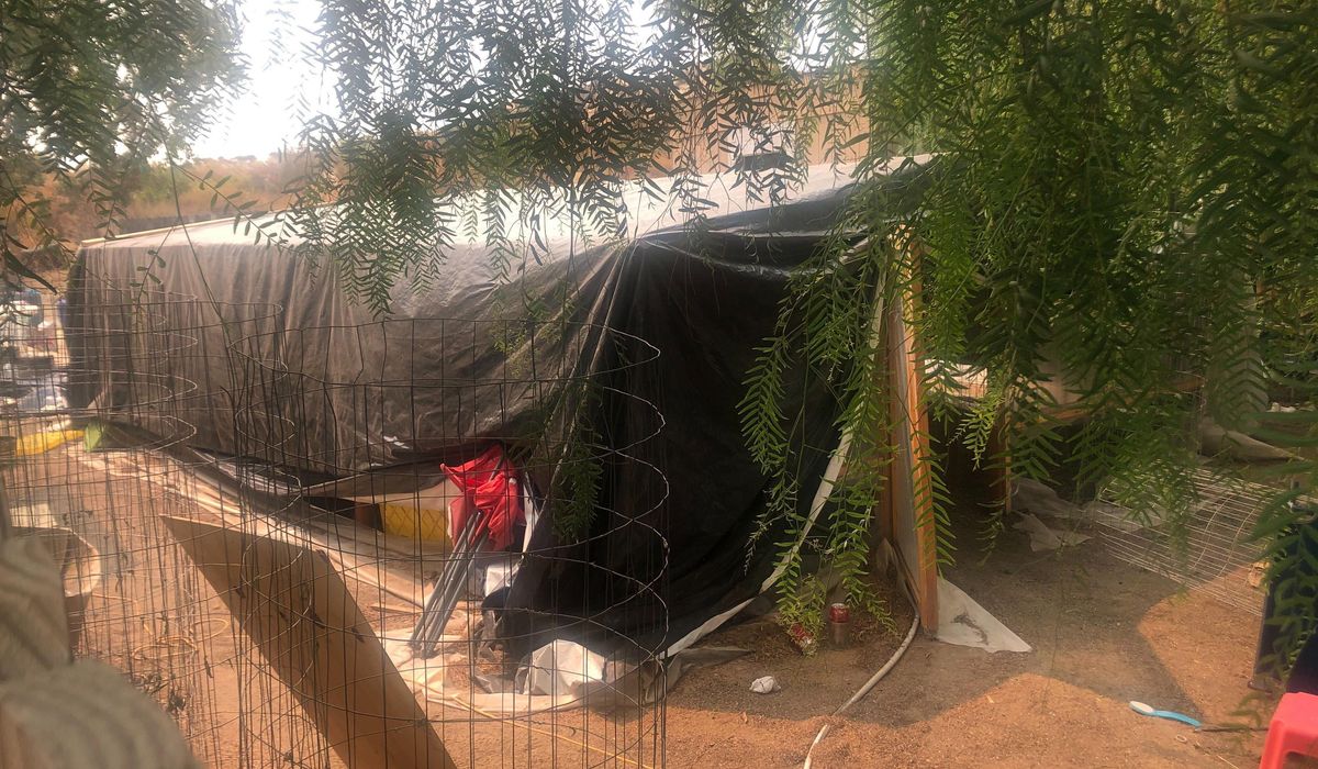 NextImg:Authorities suspect gang members involved in 7 killings at marijuana grow