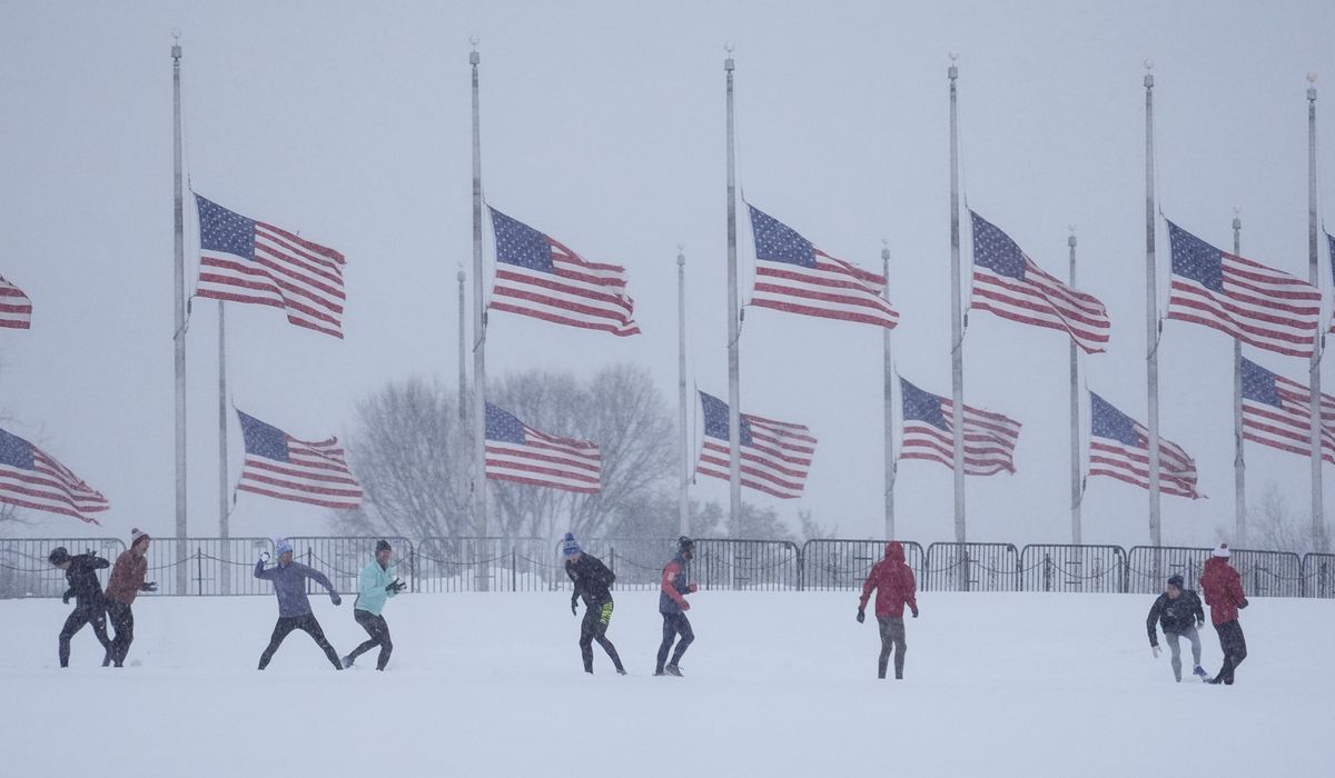 NextImg:Winter wonderland in D.C. means sledding, snowball fights abound