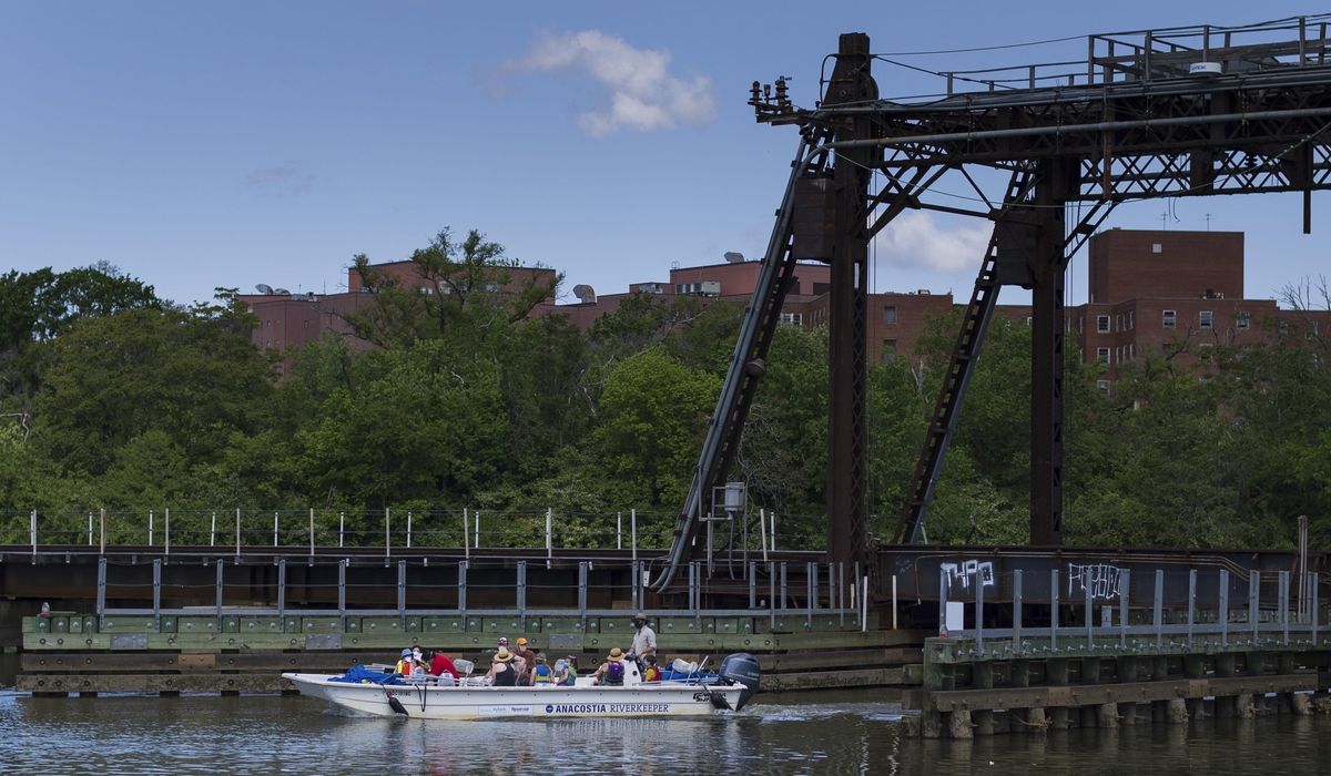 NextImg:D.C. sues federal government over pollution in Anacostia River