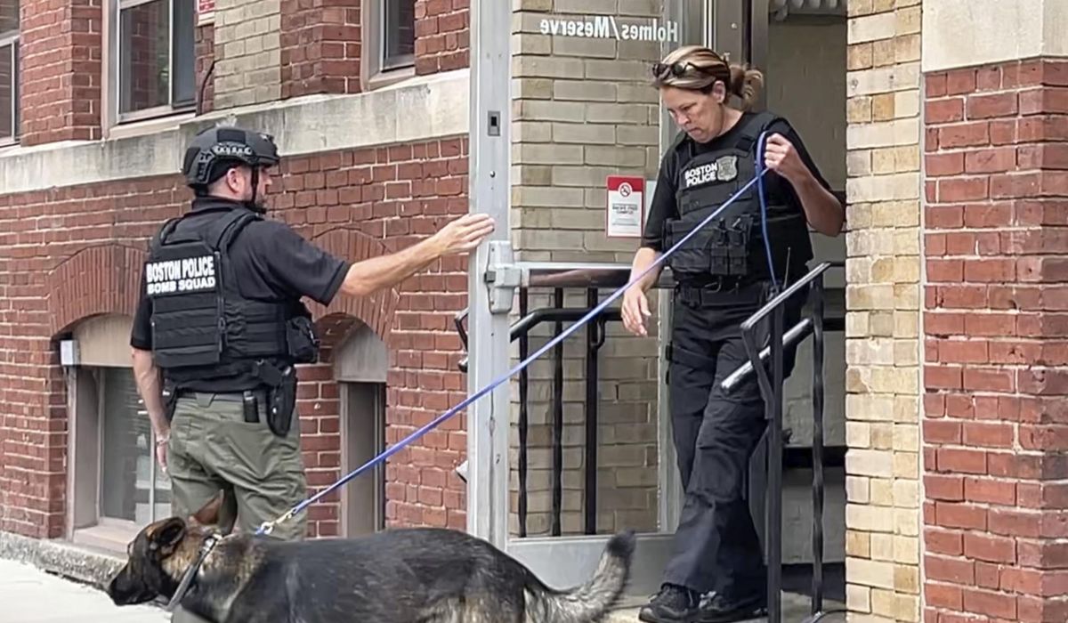 NextImg:Bomb hoax sends former Northeastern University employee to prison for a year