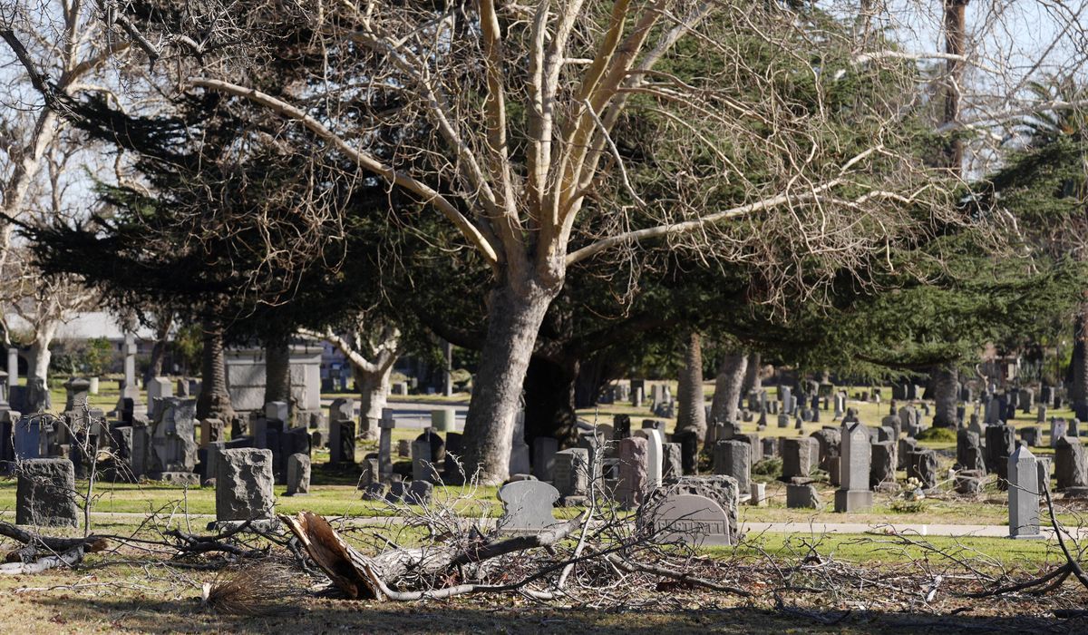 NextImg:Octavia Butler imagined L.A. ravaged by fires. Her Altadena cemetery survived