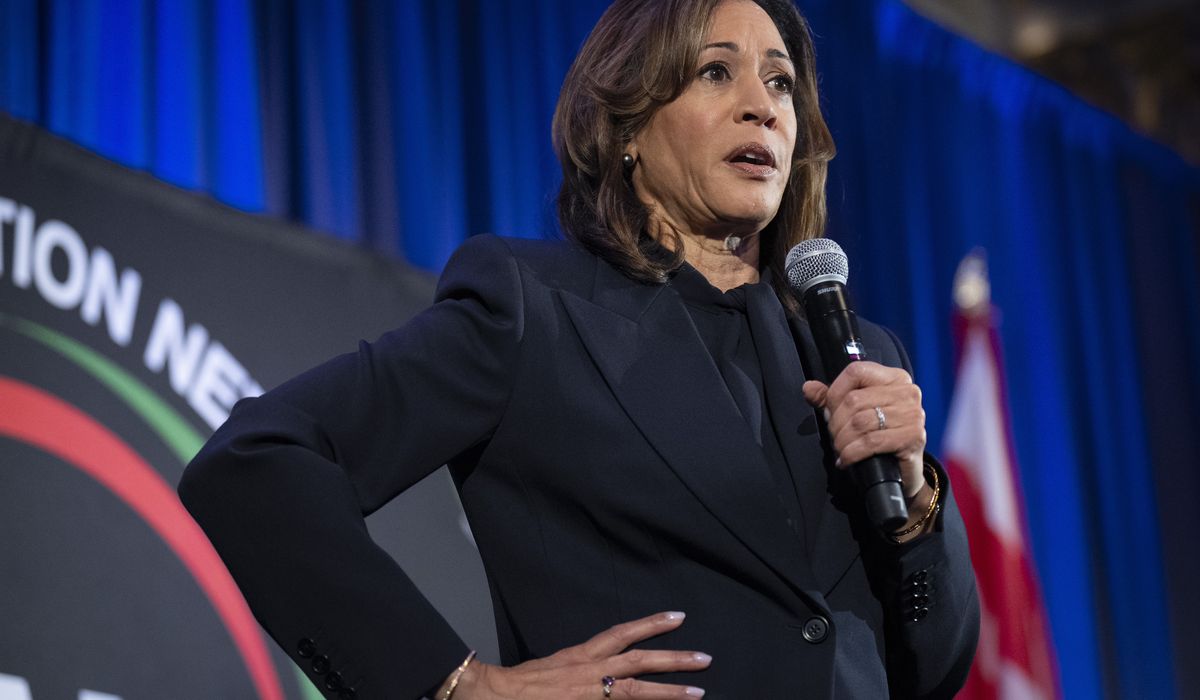NextImg:Kamala Harris steps back into limelight to warn of ‘rampant disinformation’ about disaster aid