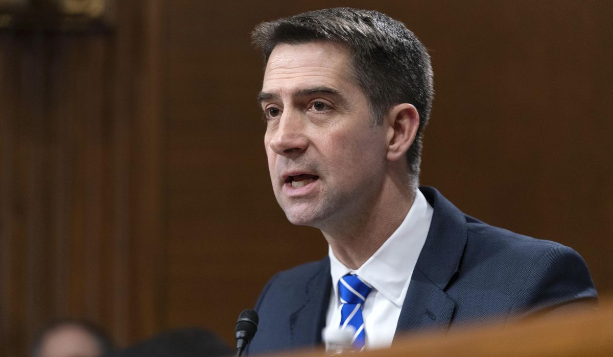 NextImg:Senior Trump officials rally as pick for Pentagon policy post faces flak