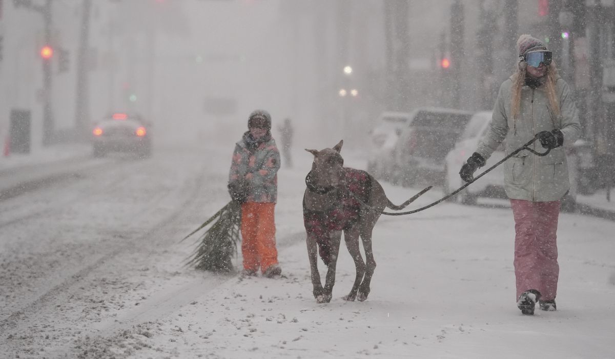 NextImg:How to survive snow and bitter cold that’s reached all the way to the Gulf Coast