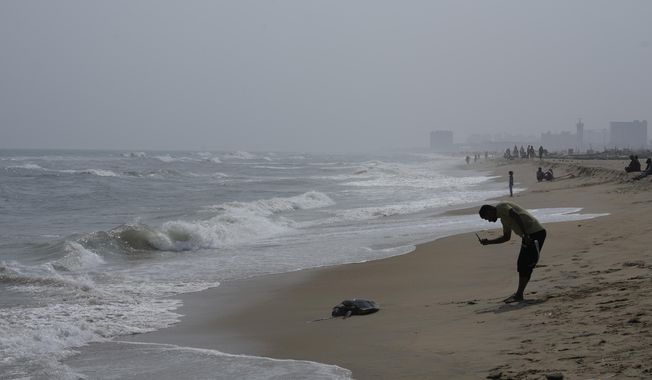 A man takes images of a carcass of an endangered Olive Ridley turtle washed ashore at Marina beach in Chennai, India, Wednesday, Jan.22, 2025. (AP Photo/Mahesh Kumar A.)
