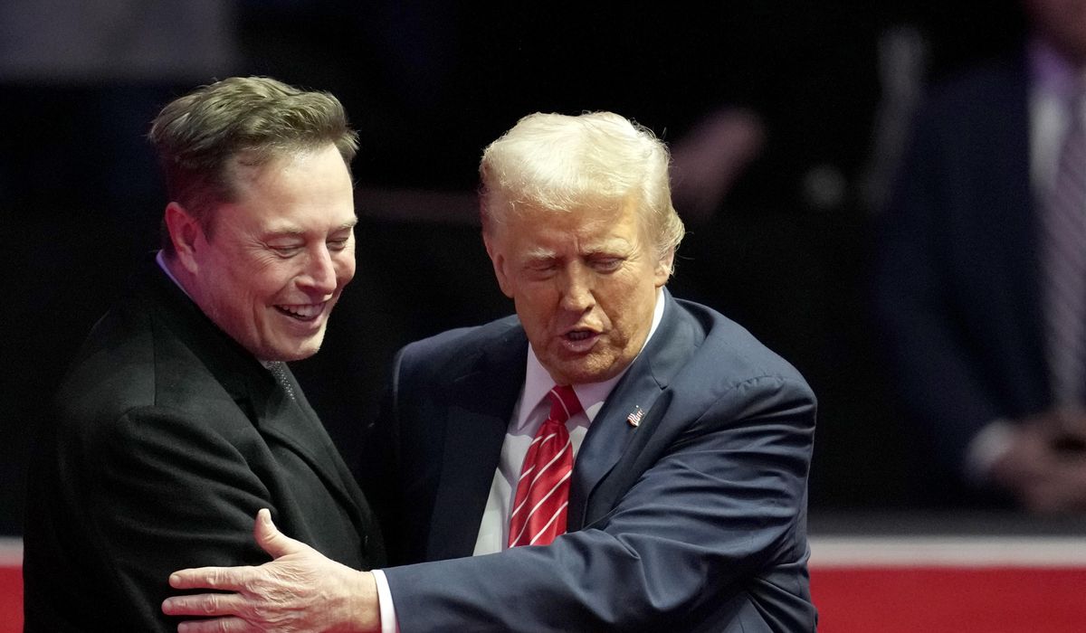 NextImg:Musk compares ‘Trump Derangement Syndrome’ to rabies