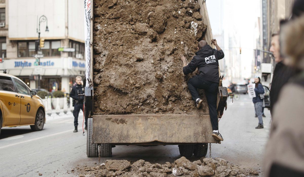 NextImg:PETA activists arrested after trying to dump frozen manure outside rival group’s office