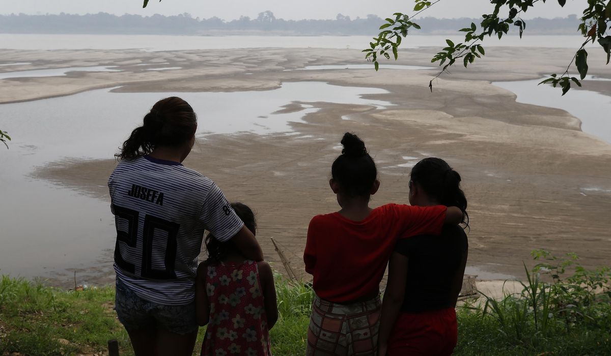 NextImg:Amazon’s advocates fear Trump’s return means little U.S. help to protect rainforest