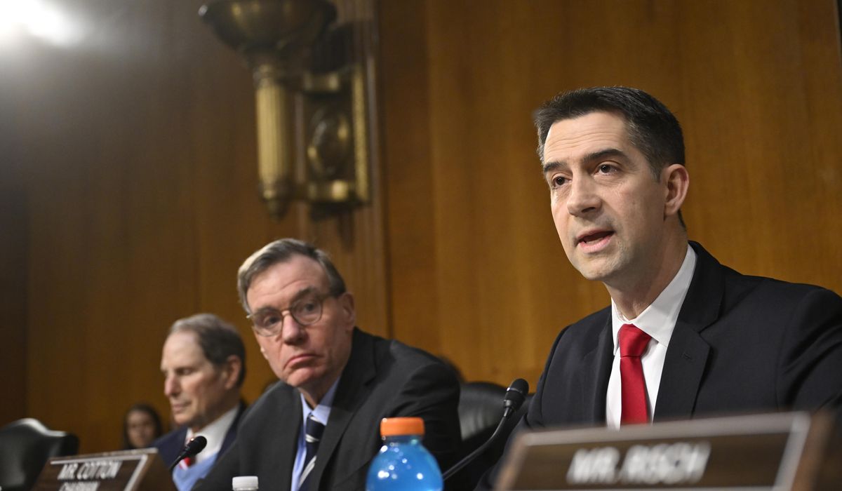 NextImg:Sen. Tom Cotton: New security considerations needed for Americans targeted by Iran