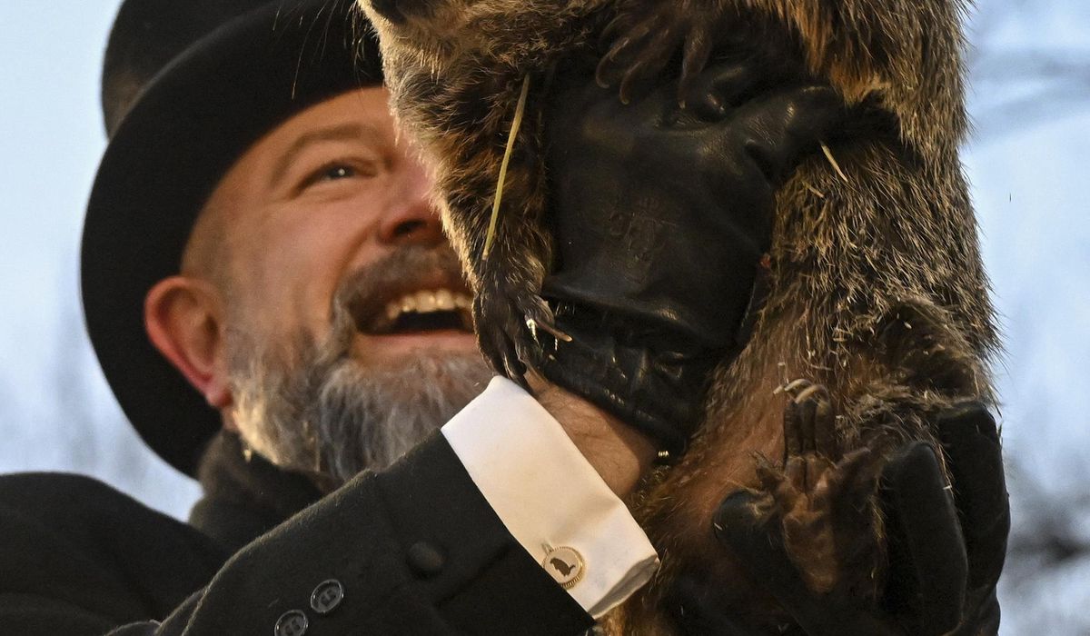 NextImg:Punxsutawney Phil sees his shadow, handlers say, predicting 6 more weeks of wintry weather