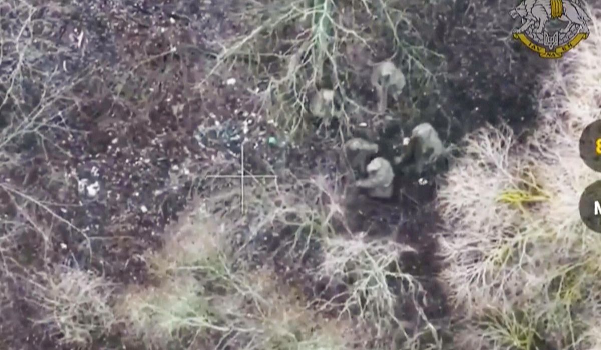 NextImg:Captured prisoners in Ukraine reveal surprising fragility of Kim’s North Korea