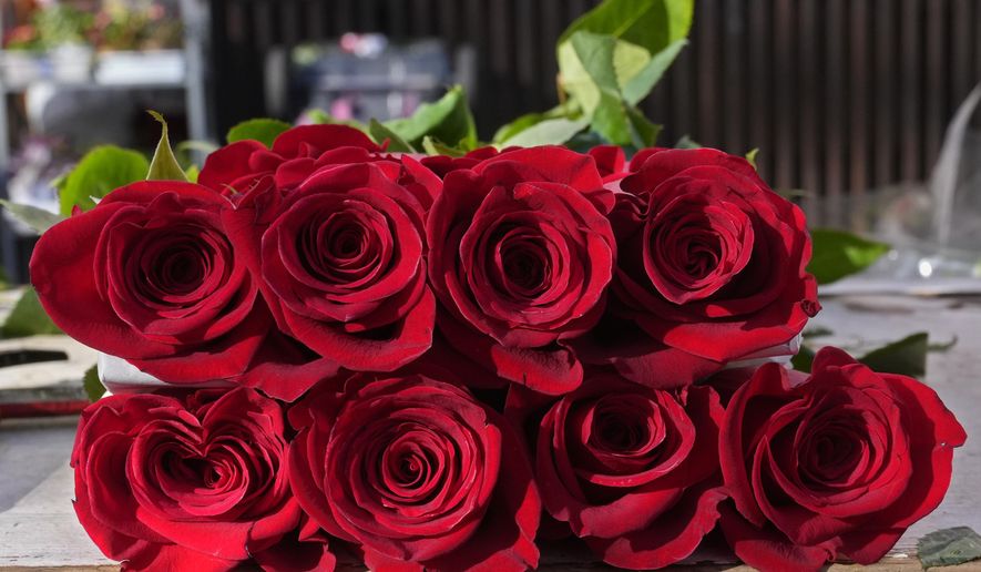 Red roses sit on a flower stall on Valentine's Day in Madrid, Spain, Friday, Feb. 14, 2025. (AP Photo/Paul White)