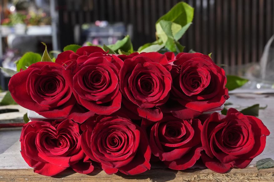 Red roses sit on a flower stall on Valentine's Day in Madrid, Spain, Friday, Feb. 14, 2025. (AP Photo/Paul White)