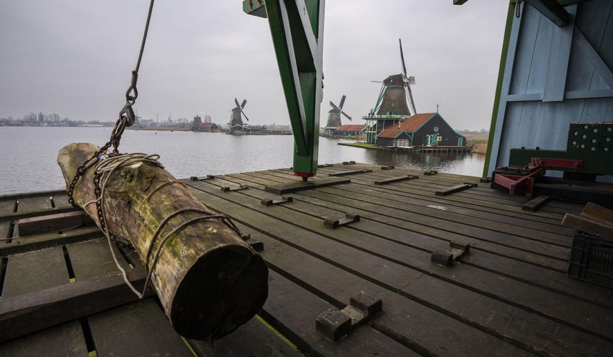 A tree trunk waits to be sawn under the giant sails of the centuries-old Gekroonde Poelenburg windmill in Zaanse Schans, Netherlands, Thursday, Feb. 13, 2025. (AP Photo/Peter Dejong)