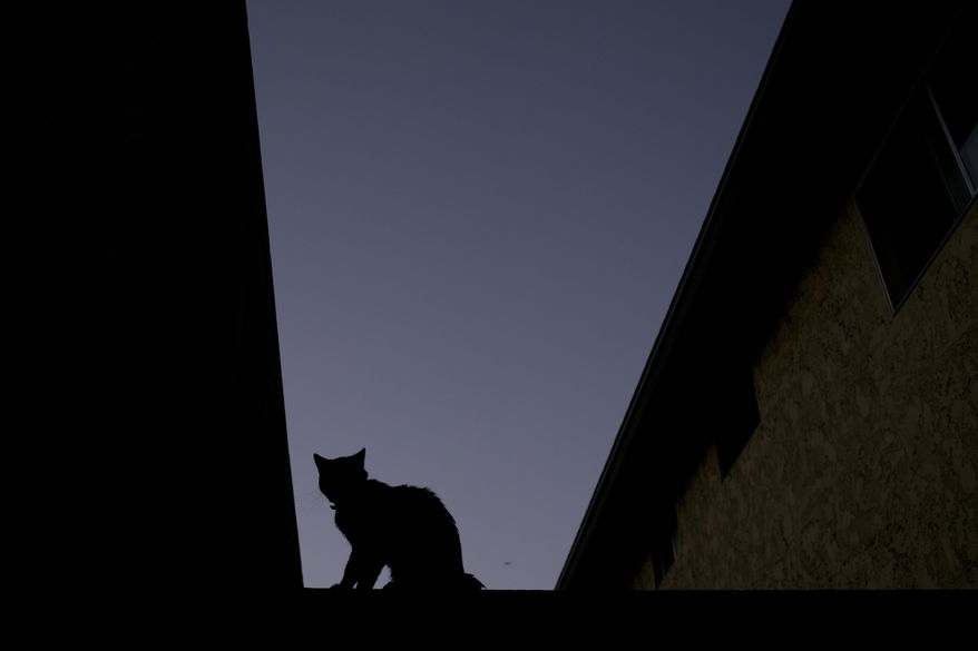 FILE - A silhouetted cat sits on a fence of a condominium complex at dusk, June 18, 2017, in La Habra, Calif. (AP Photo/Jae C. Hong, file)