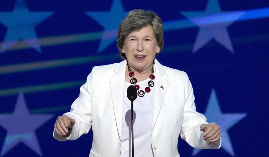 Randi Weingarten, president of the American Federation of Teachers, speaks during the Democratic National Convention Aug. 22, 2024, in Chicago. (AP Photo/J. Scott Applewhite, File)