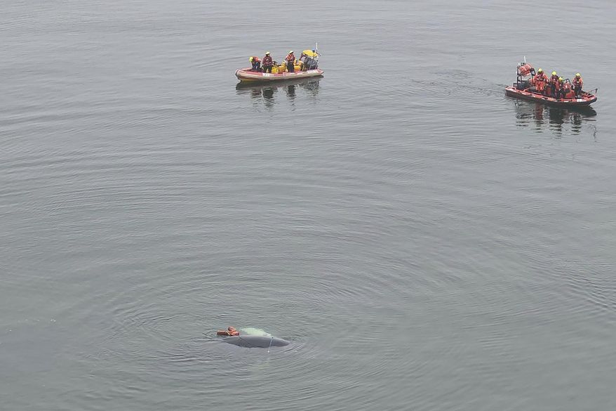 Sea rescuers and wildlife activists in dinghies approach a whale to cut it loose from fishing nets off the Baltic Sea beach near Miedzyzdroje, Poland, on Wednesday, Feb. 26, 2025. (Maritime Search and Rescue Service via AP)