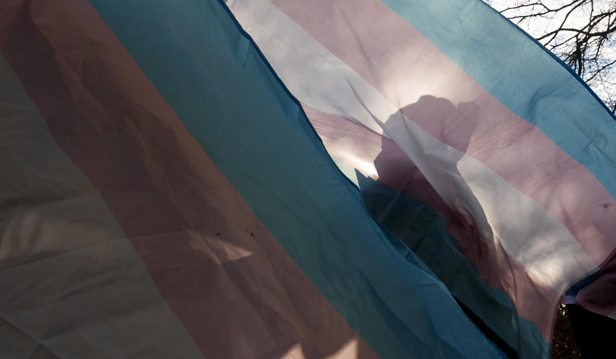 NextImg:Judge strikes down Trump policies that deleted transgender pages from govt. websites