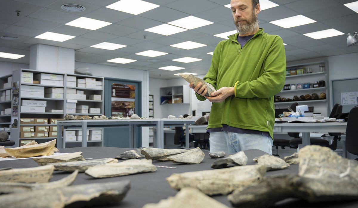 NextImg:Ancient humans made tools from animal bones 1.5 million years ago