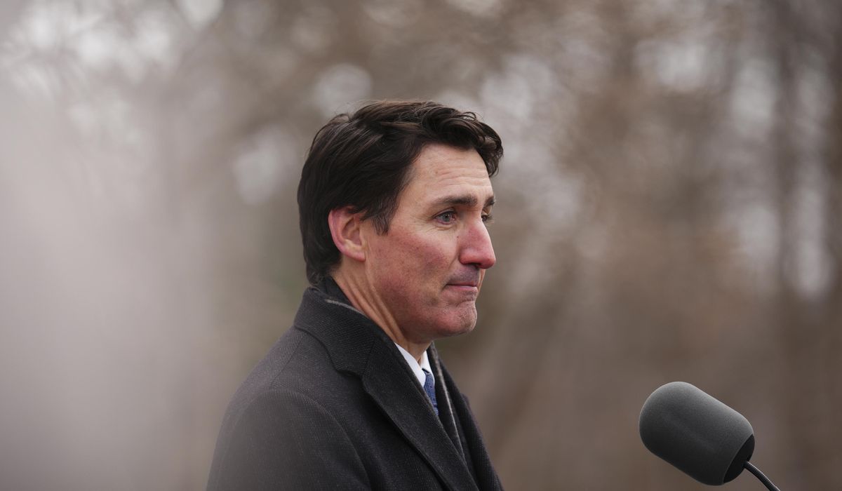NextImg:Canada’s Liberals will elect new leader to replace Trudeau as country deals with Trump’s trade war