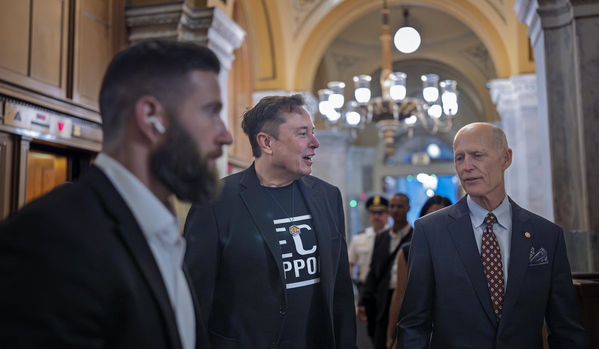 NextImg:Musk and DOGE try to slash government by cutting out those who answer to voters