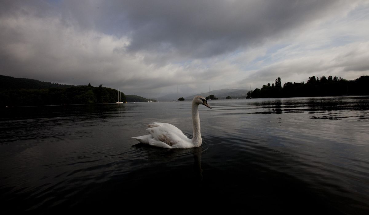 NextImg:U.K. government vows to clean up Lake Windermere after beauty spot clogged with sewage