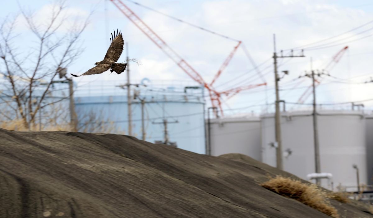 NextImg:Japan to use radioactive soil from Fukushima on flowerbeds outside PM’s office