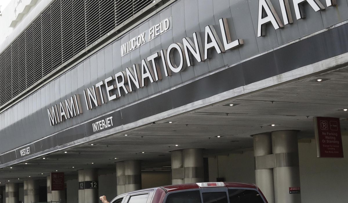 NextImg:Florida woman tried taking turtles on a plane via her bra, TSA says