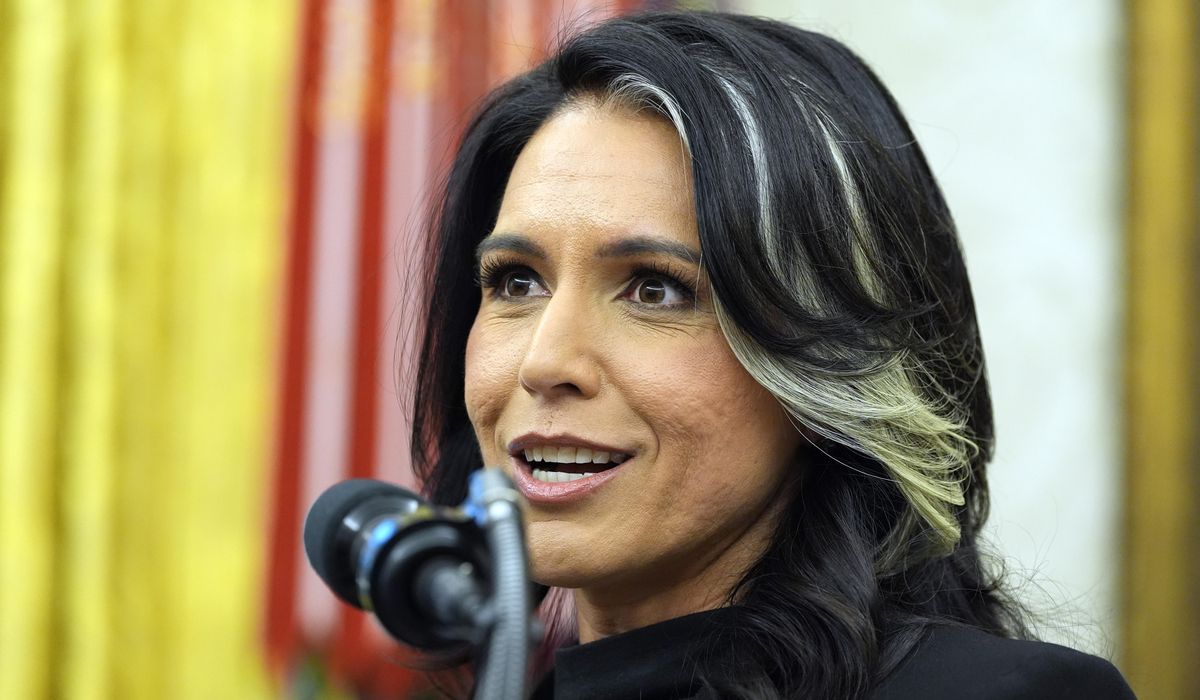 NextImg:Gabbard shuts down office that was ‘slush fund’ for DEI