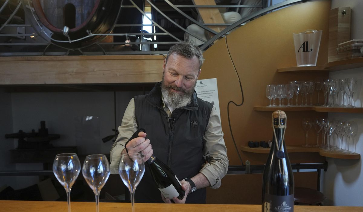 NextImg:Trump’s 200% tariff threat would be ‘a real disaster’ for Europe’s wine industry