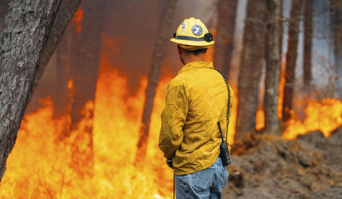 NextImg:Firefighters in the Carolinas battle multiple wildfires as New Jersey crews contain a forest blaze