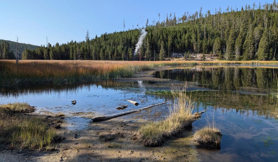 In this photo released by the USGS, a plume of steam is seen rising from a newly discovered thermal feature near Nymph Lake in Yellowstone National Park, Sept. 1, 2024, near Mammoth Hot Springs, Wyo. (Mike Poland/USGS via AP)