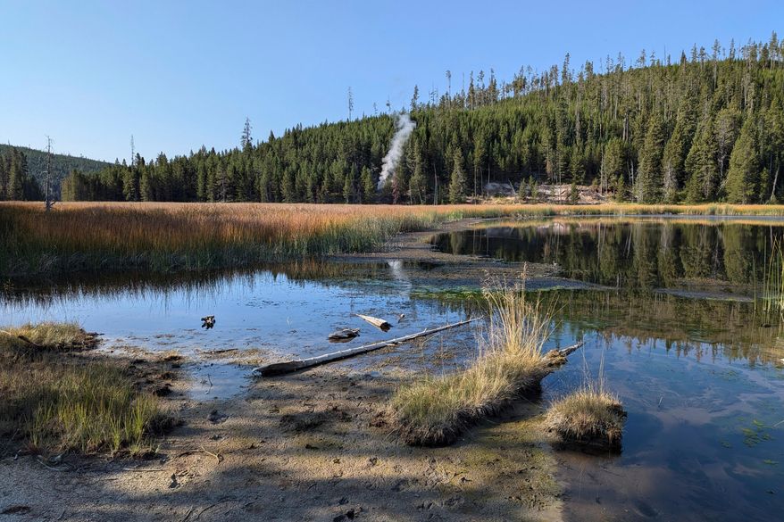 In this photo released by the USGS, a plume of steam is seen rising from a newly discovered thermal feature near Nymph Lake in Yellowstone National Park, Sept. 1, 2024, near Mammoth Hot Springs, Wyo. (Mike Poland/USGS via AP)