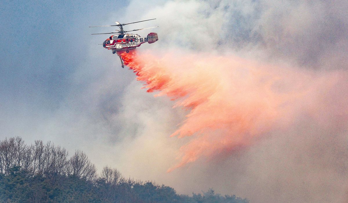NextImg:At least 16 dead and 19 injured as wildfires ravage South Korea’s southern regions