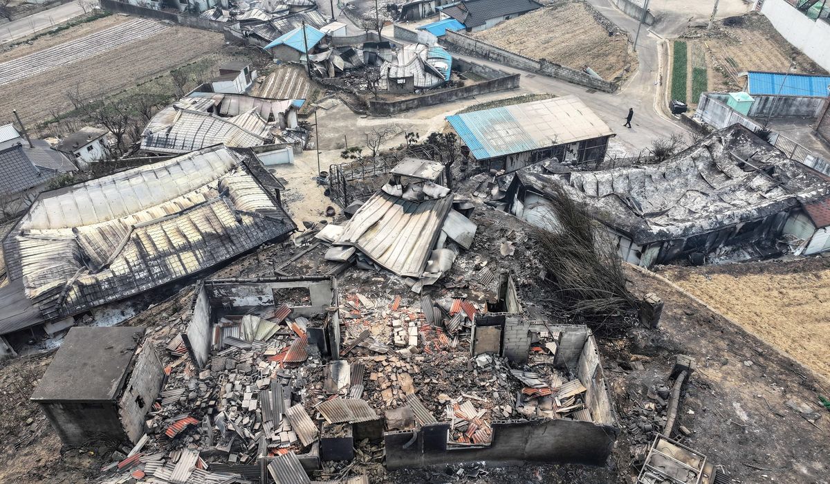 NextImg:At least 24 dead as wildfires ravage southern South Korea and force 27,000 to evacuate