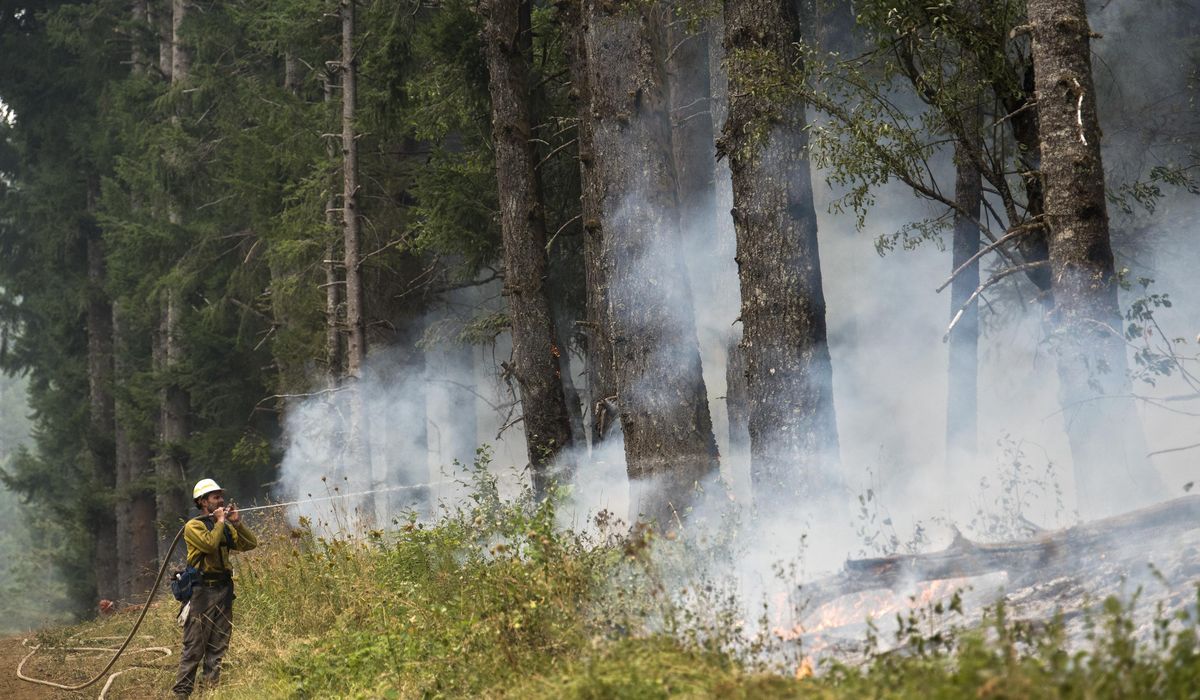 NextImg:As wildfire season approaches, budget woes and federal uncertainty have put states’ plans at risk