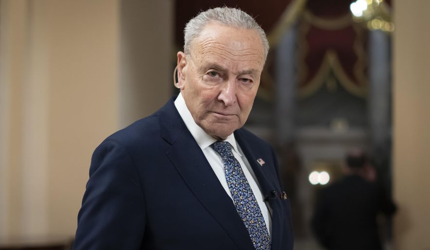 FILE - Senate Minority Leader Chuck Schumer, D-N.Y., is pictured during a television interview at the Capitol in Washington, March 14, 2025. (AP Photo/Ben Curtis)