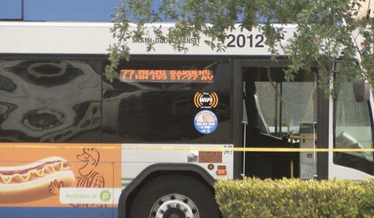 NextImg:Florida bus driver fatally shoots 2 passengers, police say