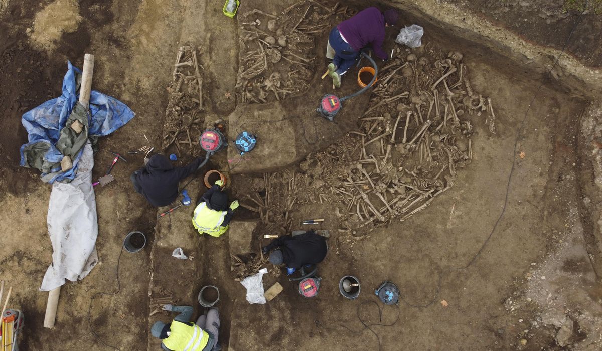 NextImg:Vienna archaeologists reveal mass grave of fighters in Roman Empire-era battle