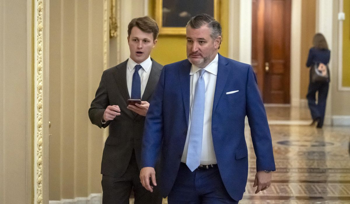 NextImg:Senators battle it out over Trump, rule of law during first appeals court nominee’s hearing