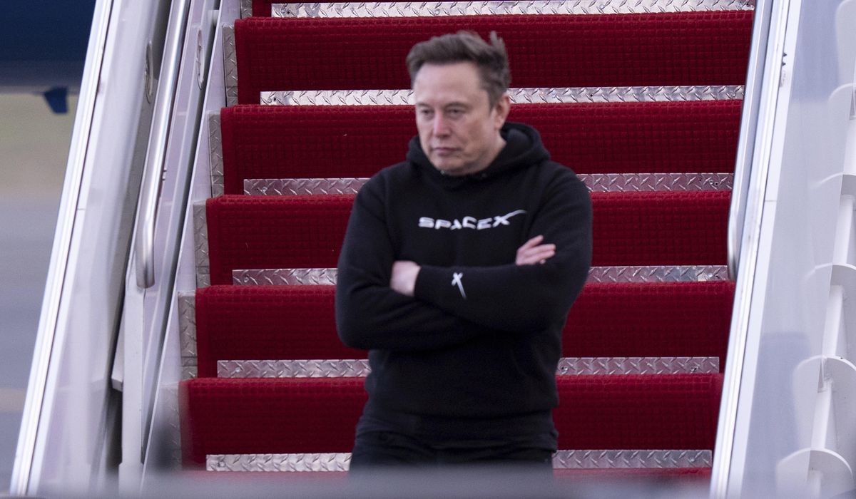 NextImg:Elon Musk knocks Peter Navarro over education, experience