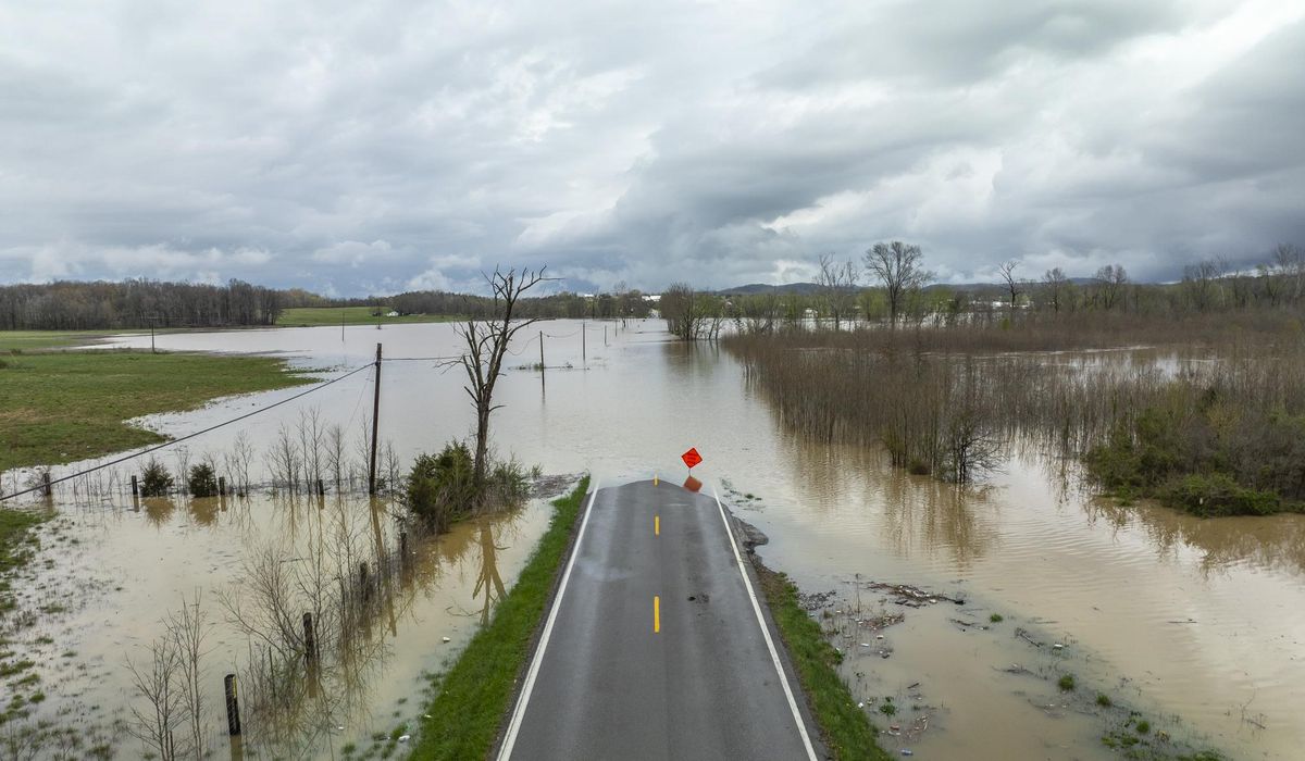 NextImg:9-year-old boy drowns in Kentucky flood after walking toward bus stop