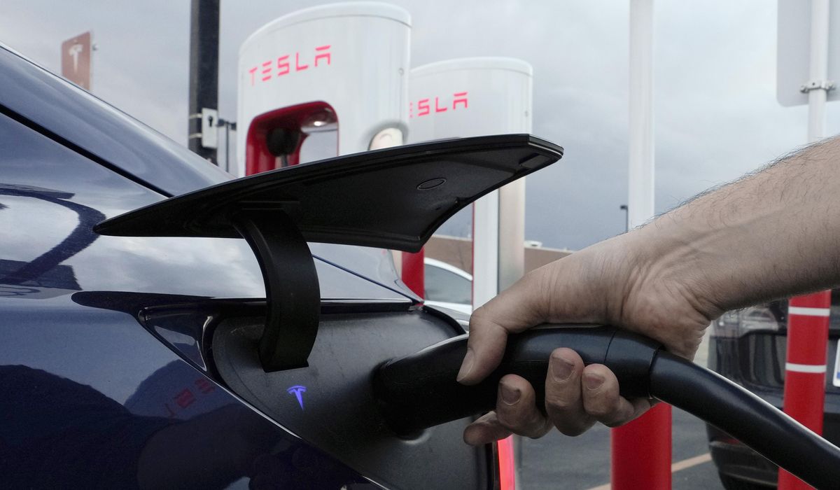 NextImg:U.S. electric vehicle industry is collateral damage in Trump’s escalating trade war