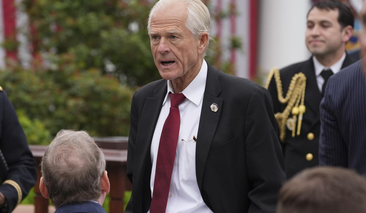 NextImg:Top Trump trade adviser denies rift with Elon Musk over tariffs